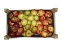 Jablečná bedýnka - mix odrůd (5 kg)